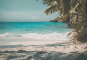 tropical sunny trees summer palm beach water turquoise and