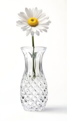 Fototapeta premium Single white daisy in a crystal vase on a white background, simple elegant beauty for decoration
