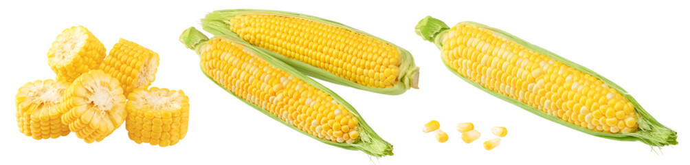 Fresh corn on cob isolated on white background. clipping path