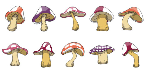 Mushroom Illustration © farmstudios