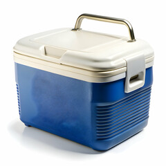 Stylish Floral Cooler Bag: Perfect for Picnics!