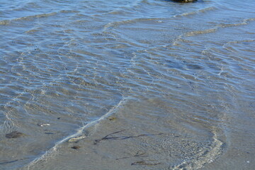 Shallow Clear Water with Sunlight Reflections on Sandy Seafloor; close-up photo of calm, shallow coastal water revealing the sandy seabed beneath