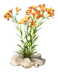 Flowery ornamental plants springtime grow on transparent backgrounds 3d illustrations png