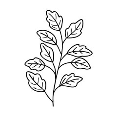 Obraz premium herb plant icon, herb plant vector illustration-simple illustration of herb plant, perfect for herb plant logos and icons