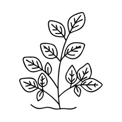herb plant icon, herb plant vector illustration-simple illustration of herb plant, perfect for herb plant logos and icons