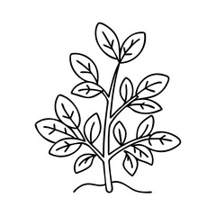 herb plant icon, herb plant vector illustration-simple illustration of herb plant, perfect for herb plant logos and icons