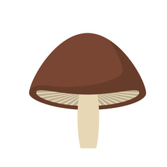 Simple Mushroom Illustration