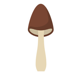 Simple Mushroom Illustration