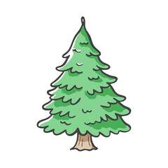 douglas fir tree icon, douglas fir tree vector illustration-simple illustration of douglas fir tree, perfect for douglas fir tree logos and icons