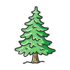 douglas fir tree icon, douglas fir tree vector illustration-simple illustration of douglas fir tree, perfect for douglas fir tree logos and icons