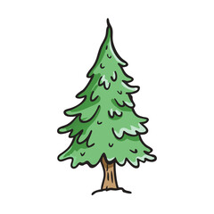 douglas fir tree icon, douglas fir tree vector illustration-simple illustration of douglas fir tree, perfect for douglas fir tree logos and icons