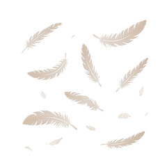 Feathers floating isolated on a transparent background, creating a serene and delicate atmosphere for design purposes