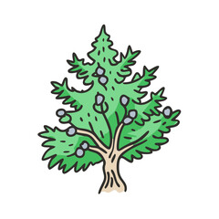 Obraz premium juniper tree icon, juniper tree vector illustration-simple illustration of juniper tree, perfect for juniper tree logos and icons
