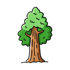 sequoia tree icon, sequoia tree vector illustration-simple illustration of sequoia tree, perfect for sequoia tree logos and icons