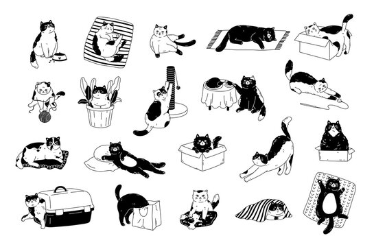 Cute cat activities set. Pet kitten home life: actions, scenes with scratching post, toys, carrier, bed, box, pillow, bag, food, plant. Outline black and white graphic design for print, card, stickers