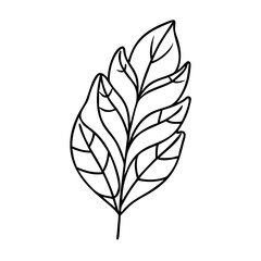 plant leaf icon, plant leaf vector illustration-simple illustration of plant leaf, perfect for plant leaf logos and icons