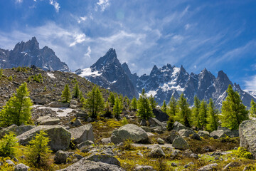 Chamonix Montblanc beautiful alpine mountain summits landscape. Alps mountains with snow and glacier above green valley of Chamonix in France. Alps beautiful scenery in summer