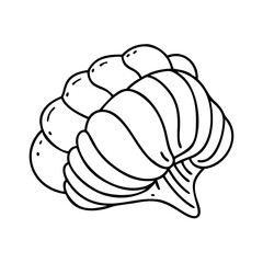 seashell icon, seashell vector illustration-simple illustration of seashell, perfect for seashell logos and icons