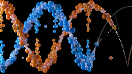 DNA double helix structure on black background. Conceptual design of genetic information for science animation. multicolored Dna molecule. DNA molecules in chromosomes. science, biology.