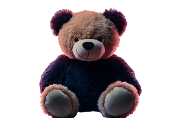 teddy bear isolated on white background