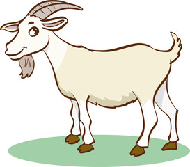 goat on white background