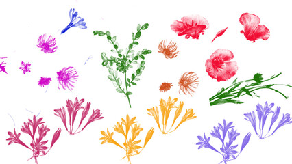 softness watercolor colorful flowers and greenery with clipping path isolated on transparent background