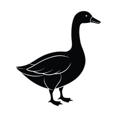 Obraz premium Greylag Goose Silhouette Vector Art | Black and White Greylag Goose Bird Illustration