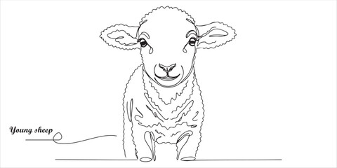 A curious young sheep gazes directly at the camera, its gentle expression and soft wool creating a heartwarming scene.

