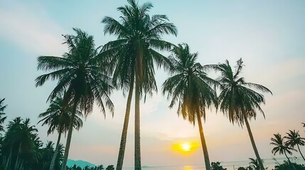 A coastal highway framed by lush palm trees, with a breathtaking sunset over the ocean in the distance, ideal for a summer road trip journey