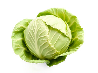 Fototapeta premium green cabbage vegetable with white background png image
