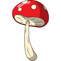  Mashroom Illustration