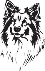 Sheltie Dog. Hand drawn vector illustration	