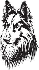 Sheltie Dog. Hand drawn vector illustration	