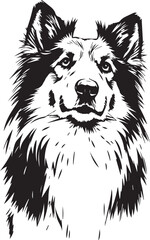 Sheltie Dog. Hand drawn vector illustration	