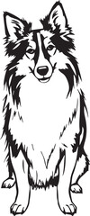 Sheltie Dog. Hand drawn vector illustration	