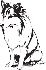 Obraz premium Sheltie Dog. Hand drawn vector illustration 
