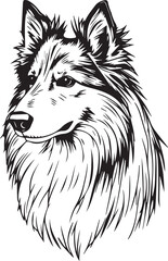 Sheltie Dog. Hand drawn vector illustration	