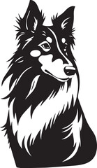 Fototapeta premium Sheltie Dog. Hand drawn vector illustration 