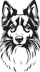 Sheltie Dog. Hand drawn vector illustration	