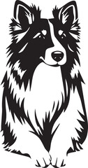 Sheltie Dog. Hand drawn vector illustration	