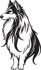 Sheltie Dog. Hand drawn vector illustration	