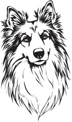 Fototapeta premium Sheltie Dog. Hand drawn vector illustration 