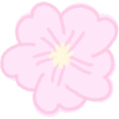 벚꽃(색)(배경O)
