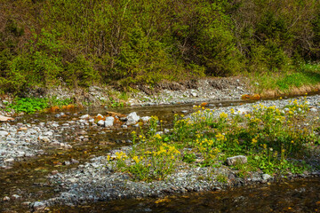 spring with drinking water in the mountains of kazakhstan. clean melt water in the reservoir almaty