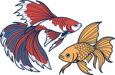 Siamese fighting fish illustration goldfish vibrant art vector design.