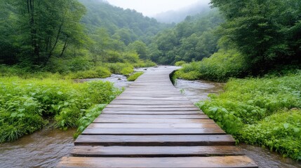 Fototapeta premium Wooden walkway through a lush forest stream