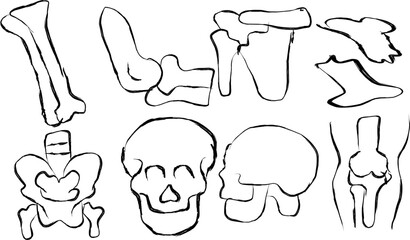 Obraz premium Collection of Human Bone icons in doodle style. Hand drawn skull icons, broken bones, hand bones, spinal cord, elbow and more.