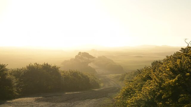 Bandon Dunes Golf Course in Bandon, Oregon, panning shot of road and gorse bushes near sunset.