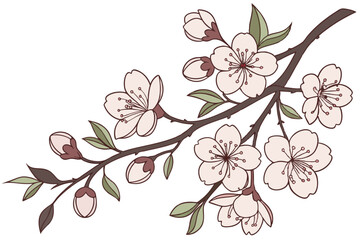 Quiet Bloom Vector | Soft Japanese Cherry Blossoms for Wall Art