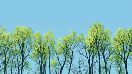 Obraz premium Springtime canopy of trees against a light blue sky.